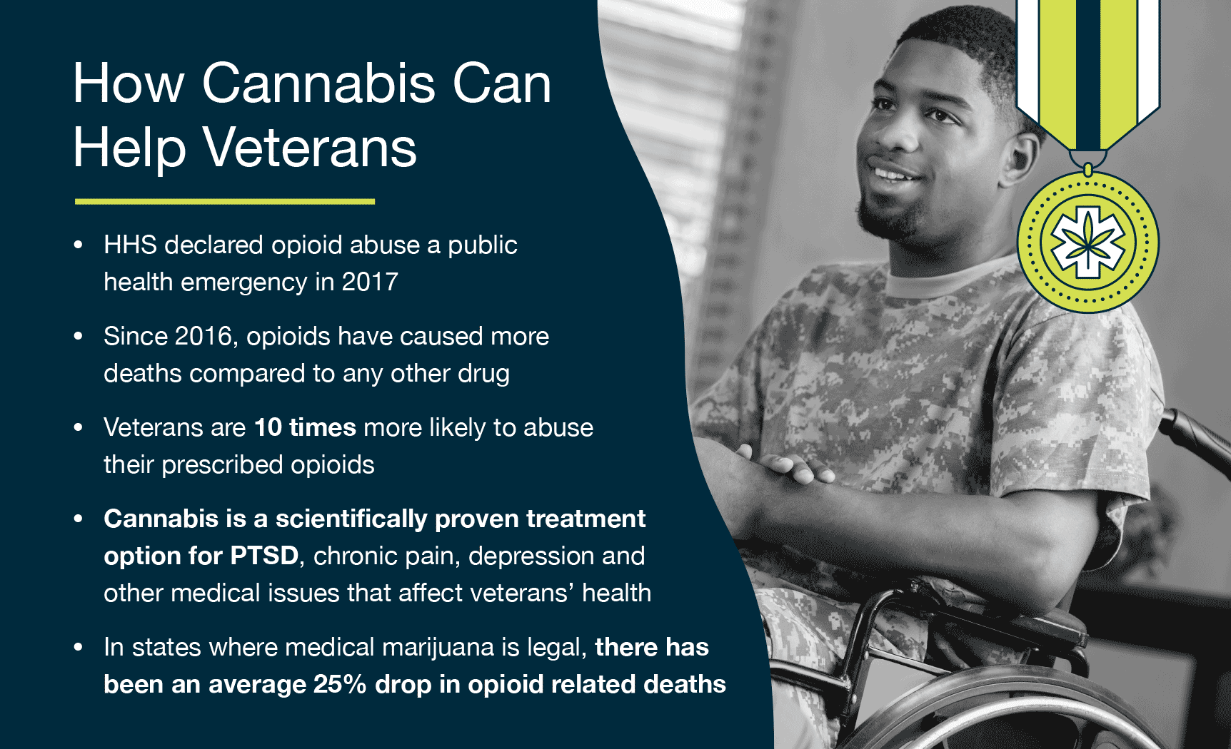 03 how cannabis can help veterans