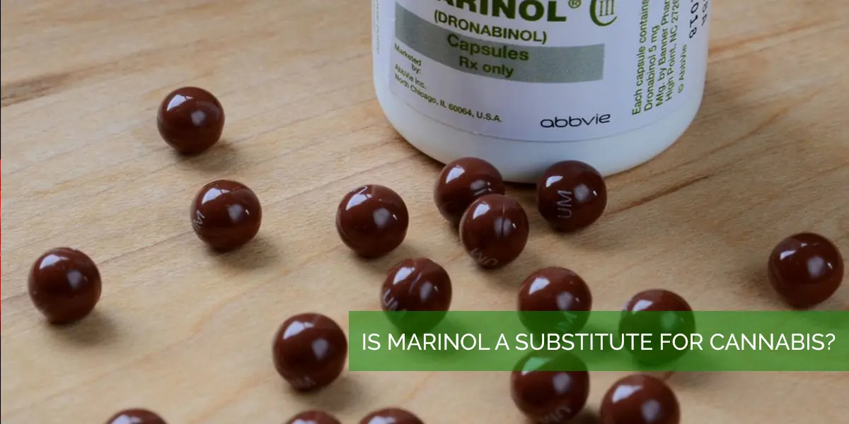 marinol_cannabis.jpg