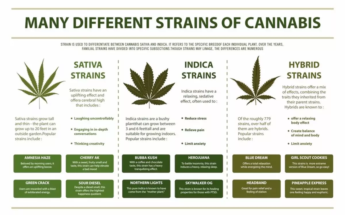 right_strains_different_types-1200x750.jpg