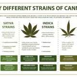 right strains different types