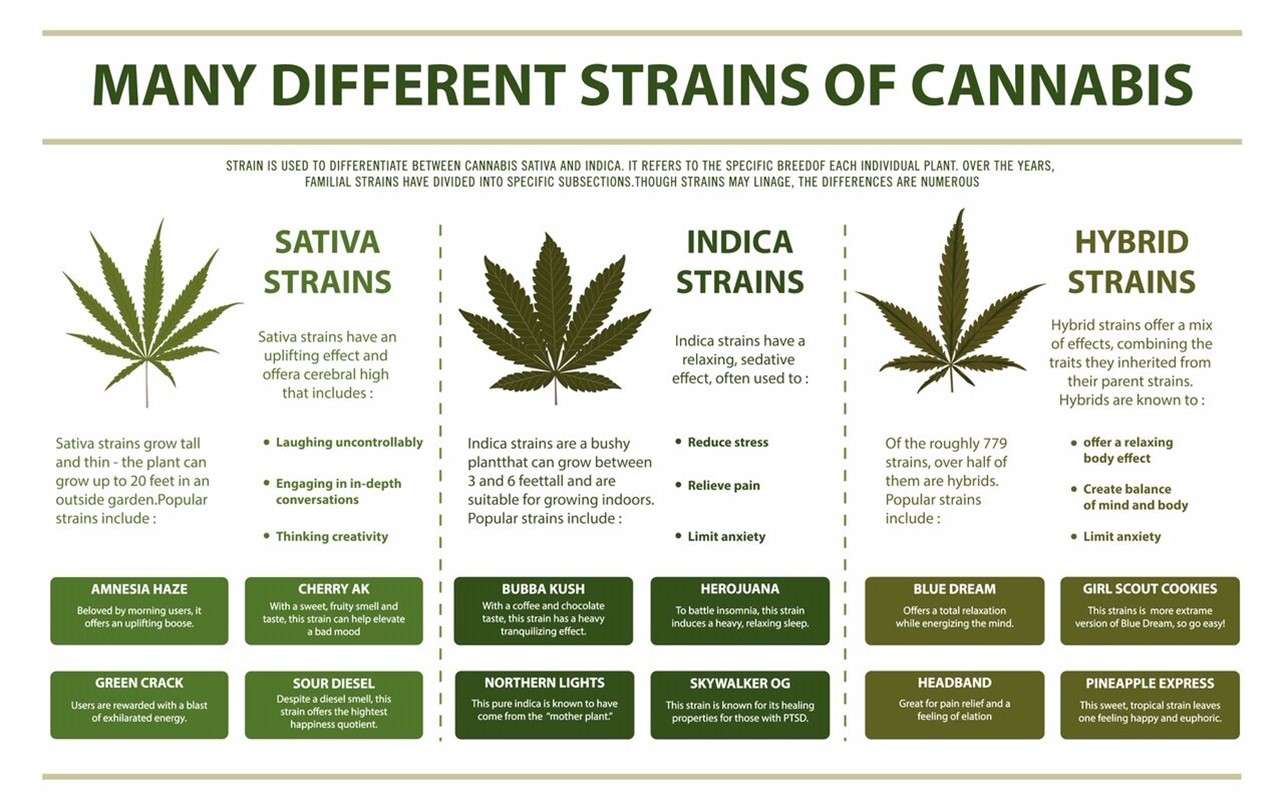 Finding the Right Medical Marijuana Strains