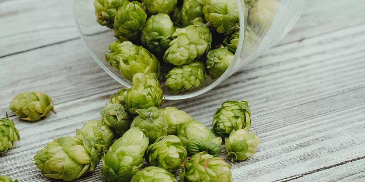 humulene_hops.jpg