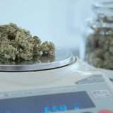 dispensary measuring cannabis