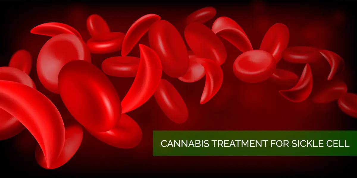 cannabis_sickle_cell.jpg
