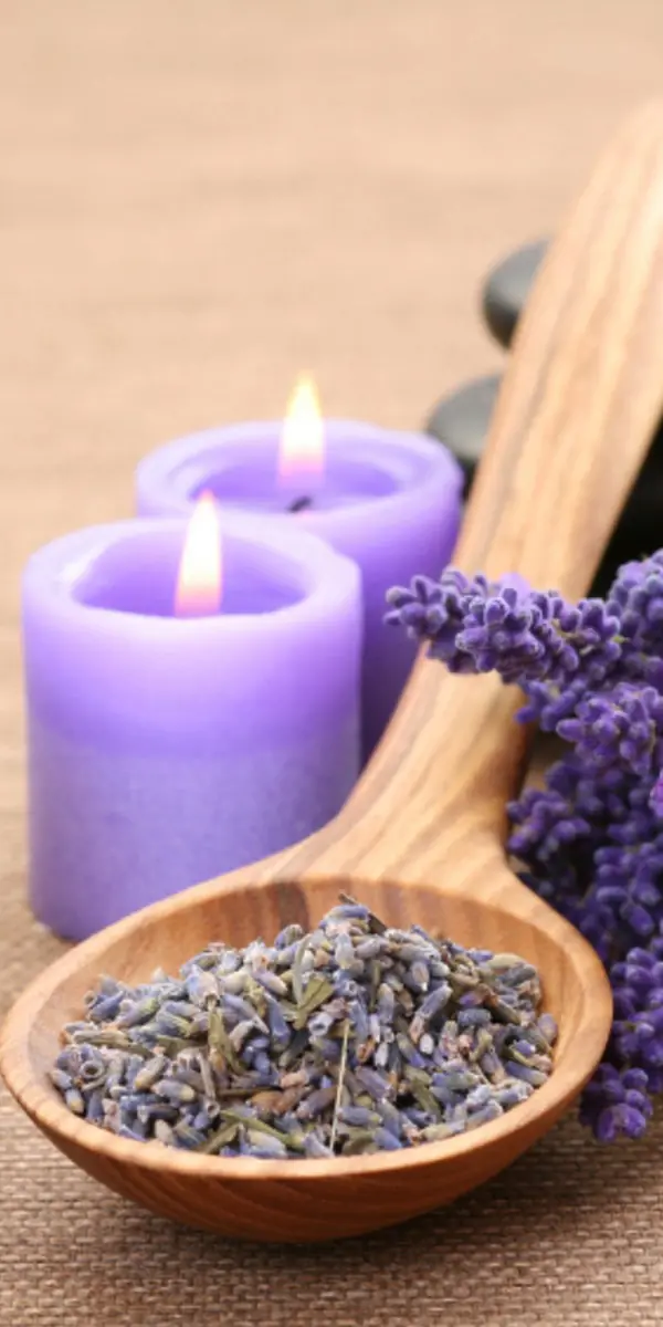 terpenes lavender terpenes lavender