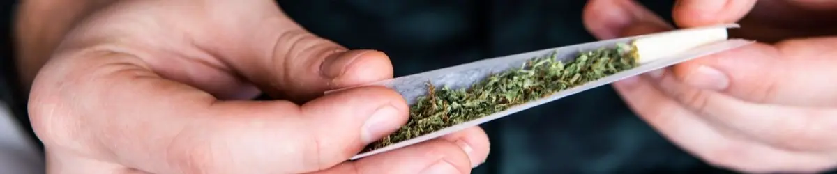 Cannbis flower being rolled in a joint