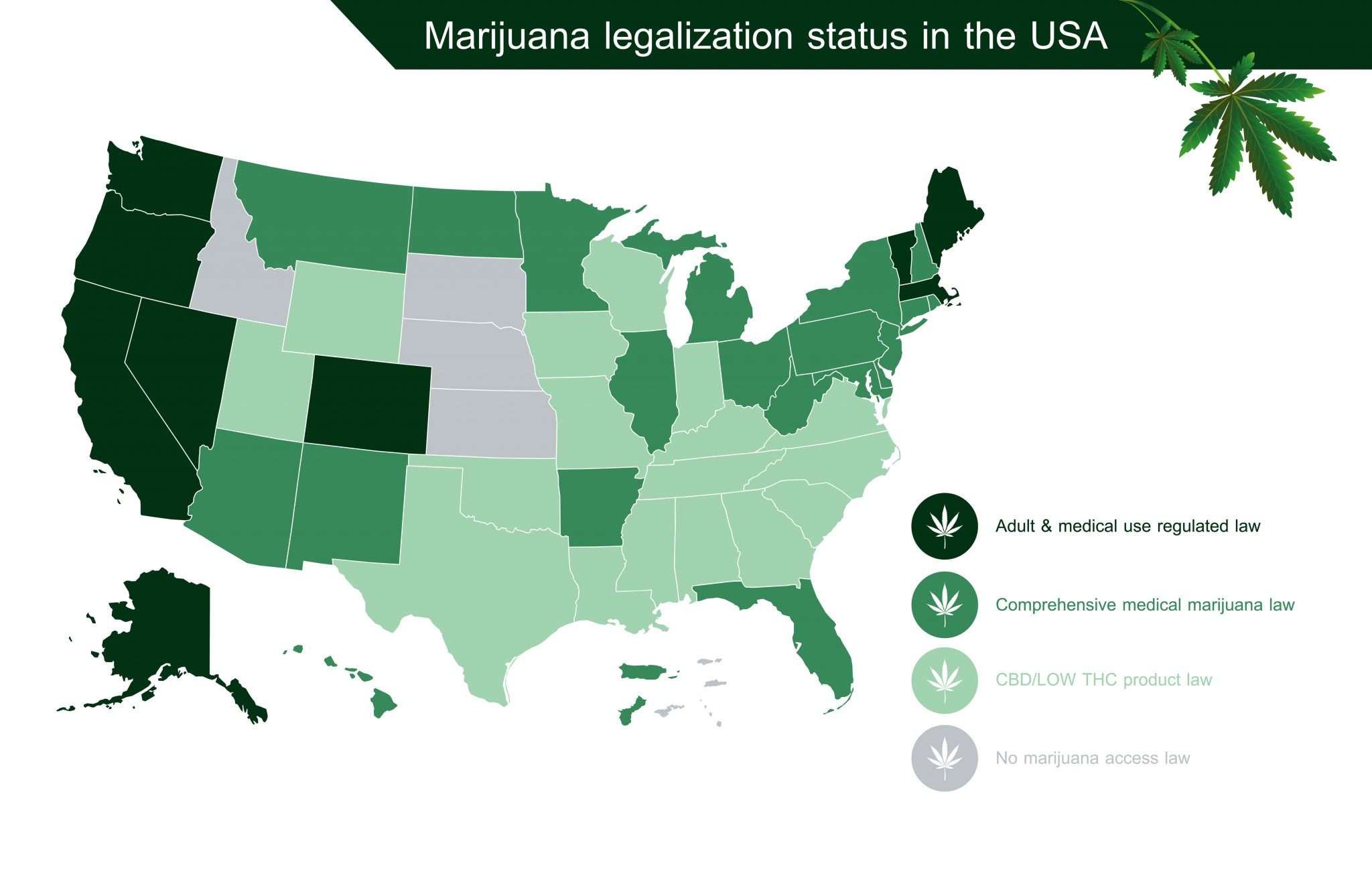 Amendment 3 and Its Role in Florida's Medical Marijuana Landscape