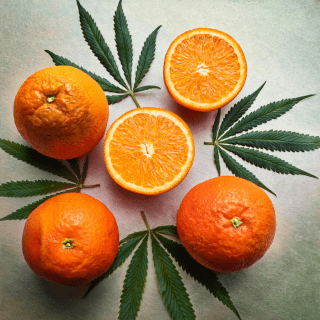 Orange Slices & Marijuana Leaf