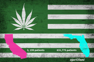 United States of Florida Weed CA patients vs FL patients jax420aml