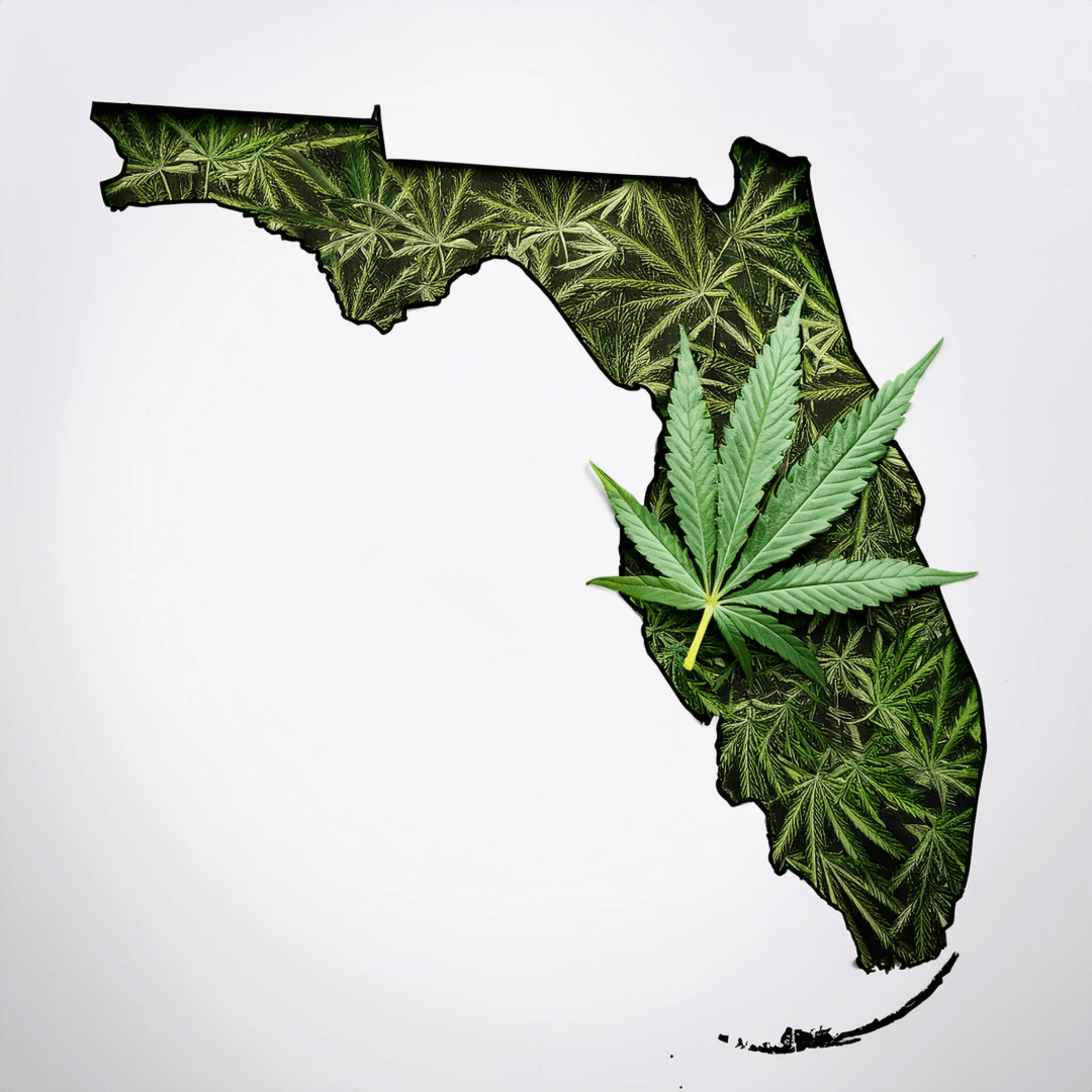 Florida-Marijuana-Leaf.png