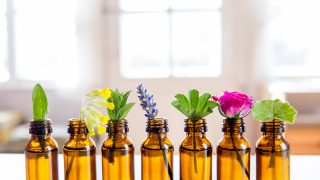 Selective focus lot of fresh herbs in small vintage bottles in a