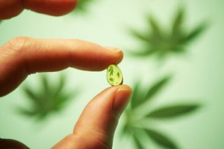 cannabis microdose